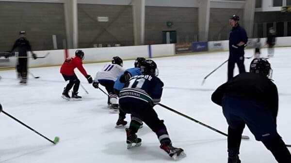 Pre-Season Practices – Advanced Level 10U/12U/14U